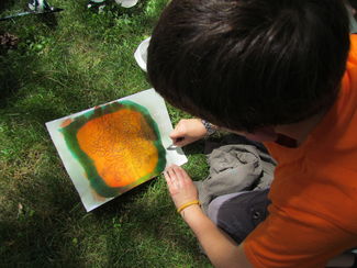 Mercredi des 6-10 ans: Artistes en herbe au jardin