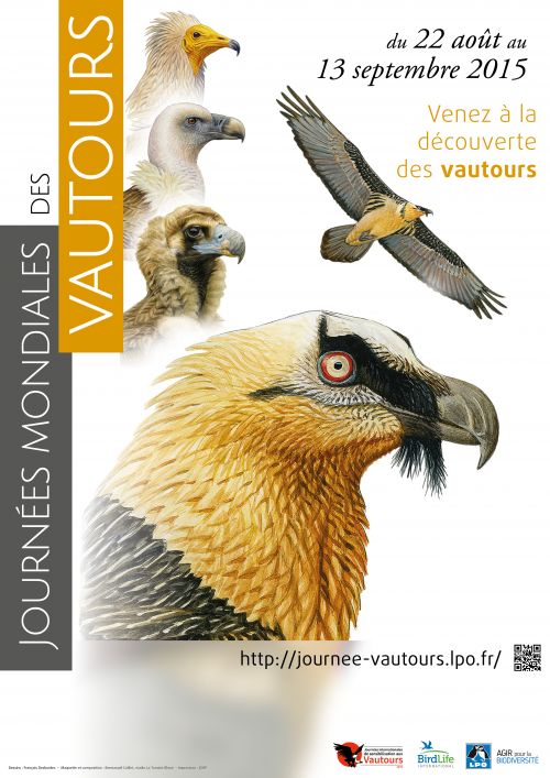 Journée mondiale des vautours