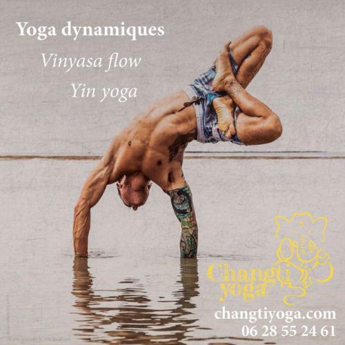 cours de yoga vinyasa flow