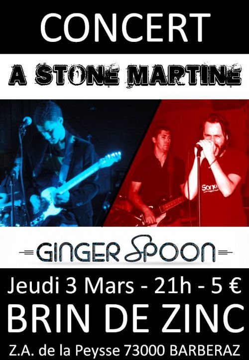 Ginger Spoon // A Stone Martine