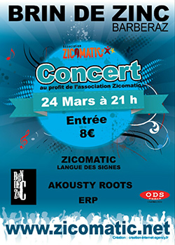 Zicomatic // Akousty roots // ERP