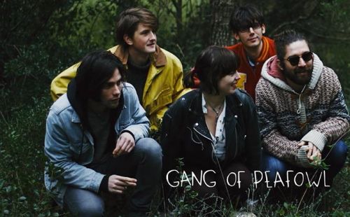 Gang of Peafowl // Stolen Sweethearts