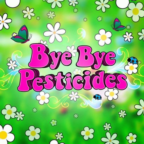 Bye Bye Pesticides (projection // débat)