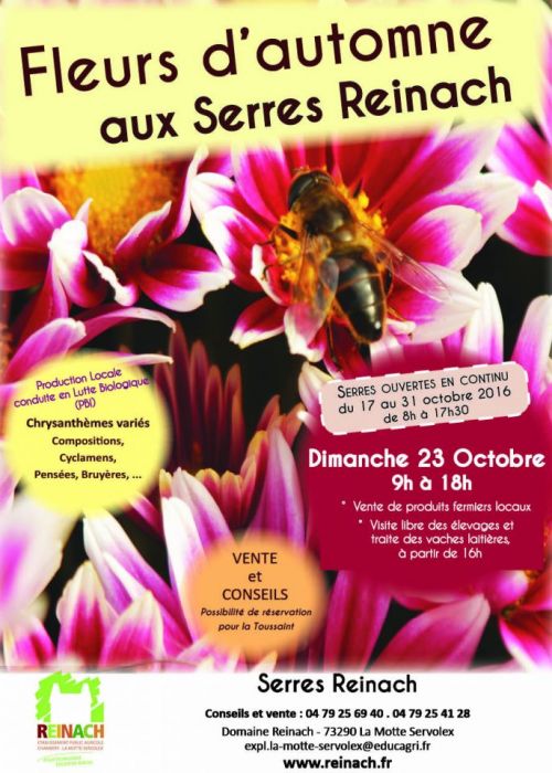 Fleurs d'Automne aux serres Reinach