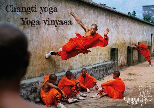 cours de yoga vinyasa