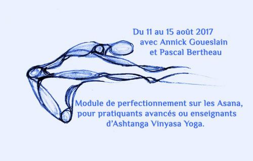 Formation d'Ashtanga Vinyasa Yoga