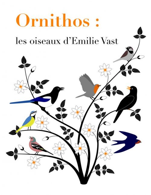Ornithos : les oiseaux d'Emilie Vast