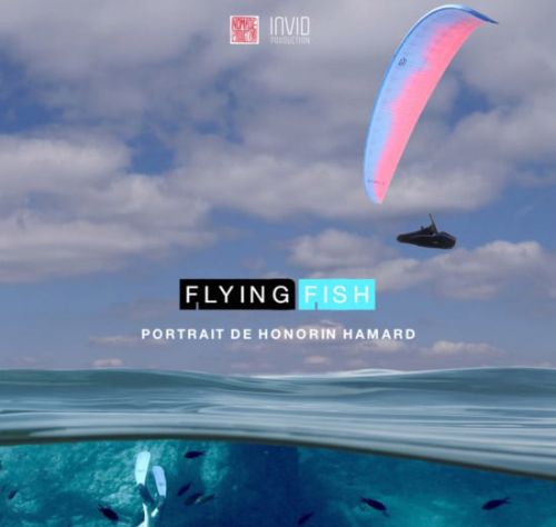 Projection de Flying Fish : parapente et apnée !