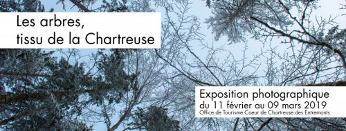 Vernissage exposition photographies Yan Dubost : Les arbres, tissu de la Chartreuse