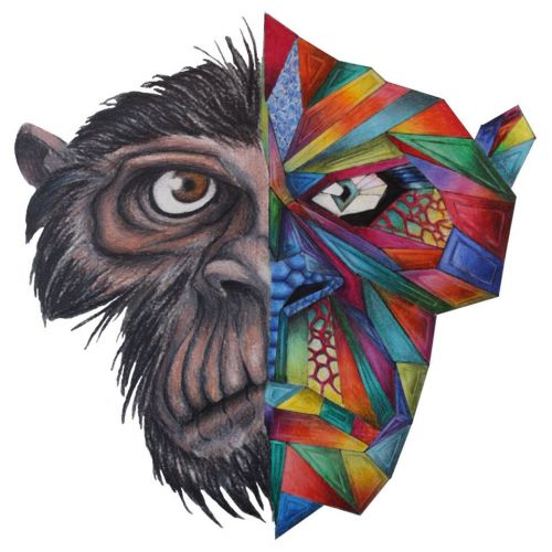Them Flying Monkeys (Portugal / Indie Pop-Rock Alternatif)