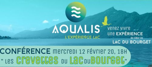 Conférence : Les crevettes du lac du Bourget