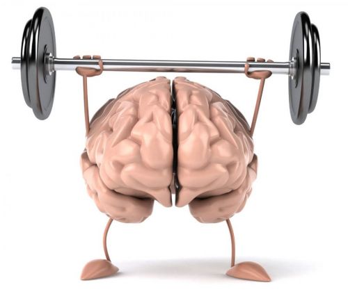 Venez découvrir la plasticité du cerveau et le rééquilibre du corps