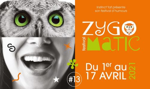 Zygomatic Festival #13