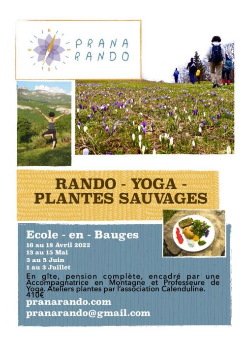 RandoYoga - Plantes sauvages